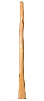 Natural Finish Bell Didgeridoo (TW1102)